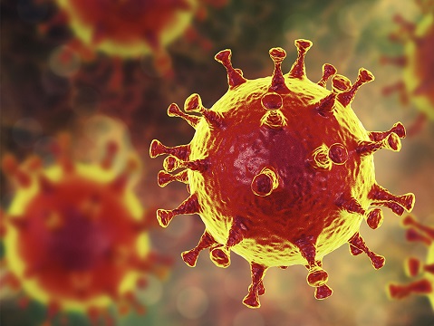 Imagen de computadora del coronavirus